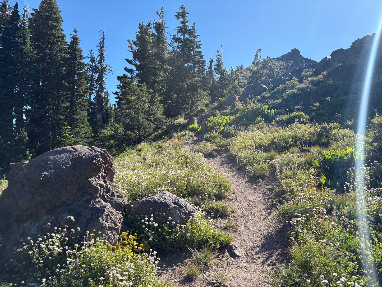 CASTLE PEAK/BASIN PEAK LOOP