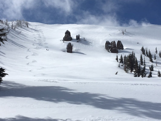 MT. ROSE BACKCOUNTRY