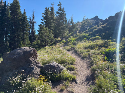 CASTLE PEAK/BASIN PEAK LOOP