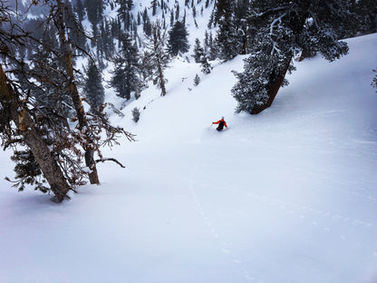 CARSON PASS BACKCOUNTRY