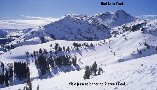 CARSON PASS BACKCOUNTRY